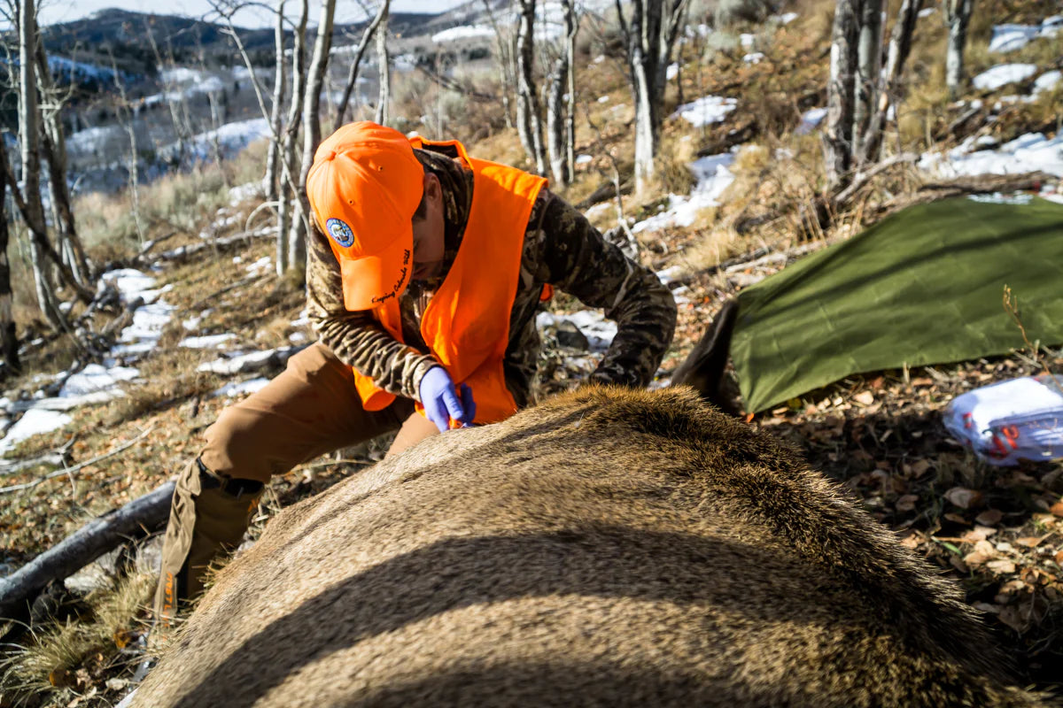 Sacs de chasse au caribou - Hunter Tarp Green