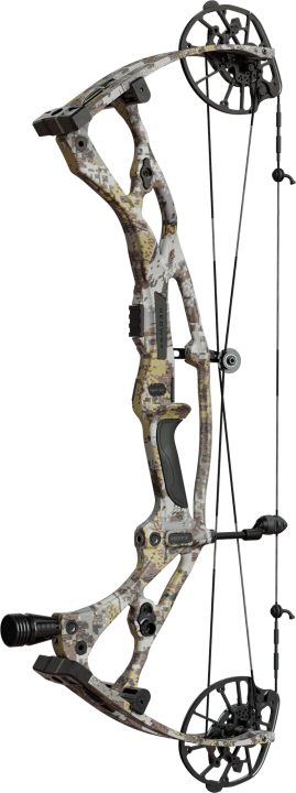 Hoyt - Carbone RX-8