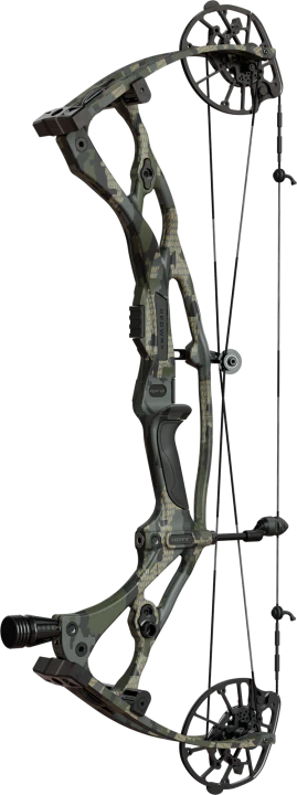 Hoyt - Carbon RX-8