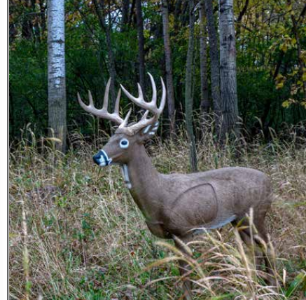 Rinehart - Signature Jimmy Big Tine 3D Target