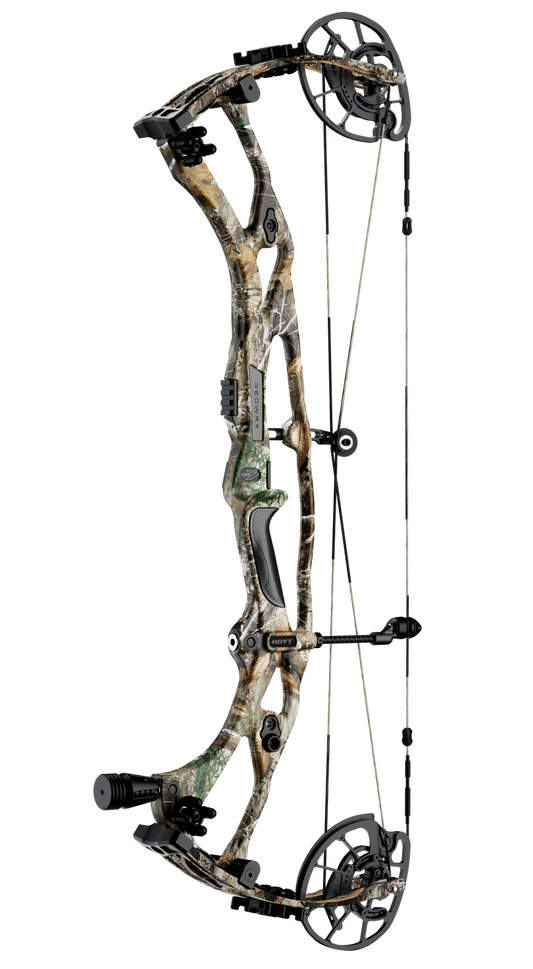 Hoyt - VTM 31