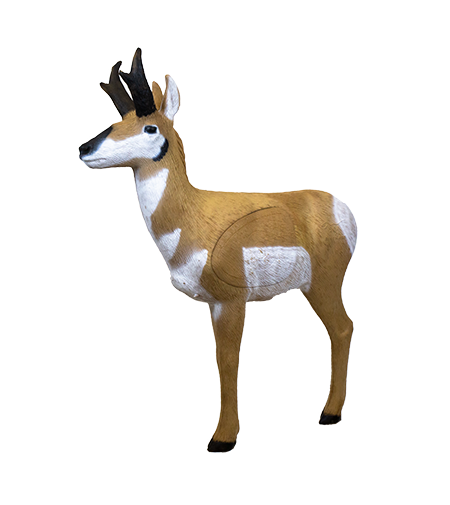 Rinehart - Cible 3D Signature Antelope