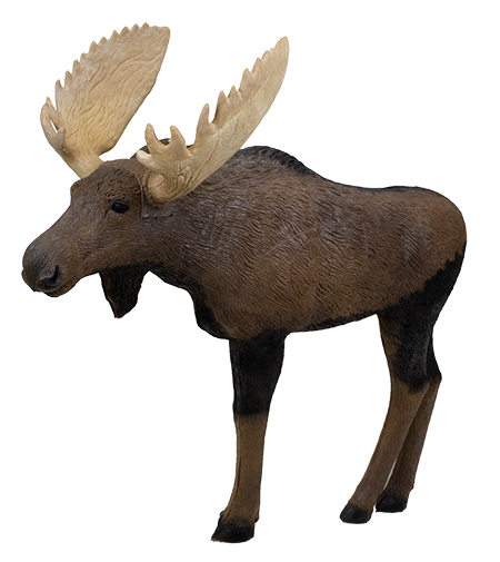 Rinehart - Cible 3D Signature Moose